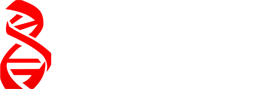 DNA Motociclista