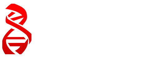 DNA Motociclista l Portal de Notícias Sobre Motos
